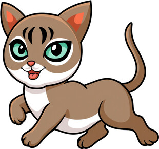 奔跑的可爱小猫