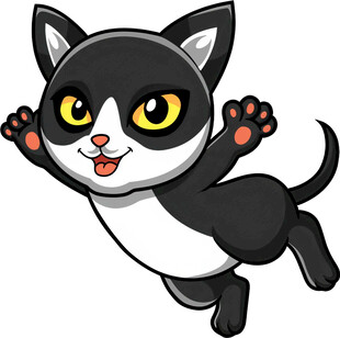 跳跃的可爱黑白猫咪