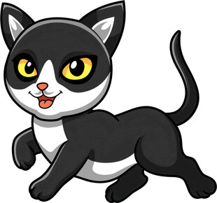 可爱黑白小猫欢快奔跑