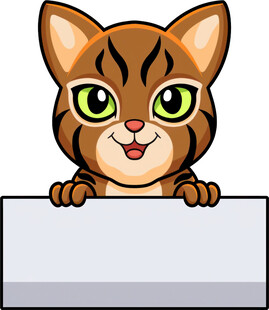 可爱猫咪探身白板前