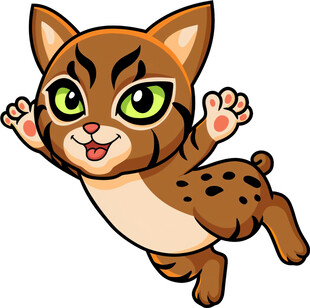 跳跃的可爱小豹猫