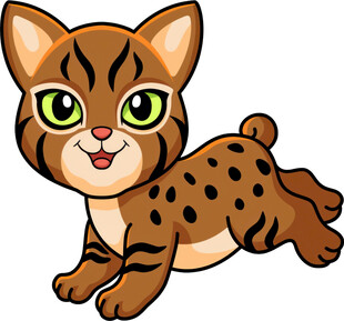 可爱小豹猫欢快奔跑