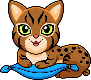 可爱小豹猫趴蓝色垫子上