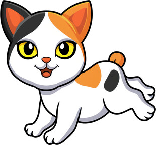 可爱三色小猫欢快奔跑