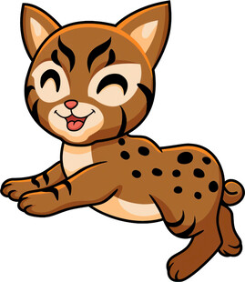 跳跃的可爱小豹猫