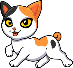 可爱三色小猫欢快奔跑