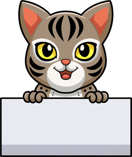 可爱小猫探身白板前