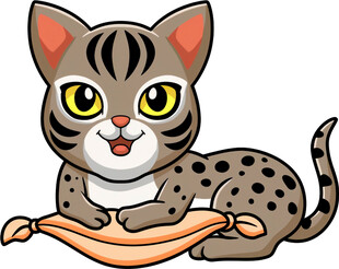 可爱猫咪玩彩色布条