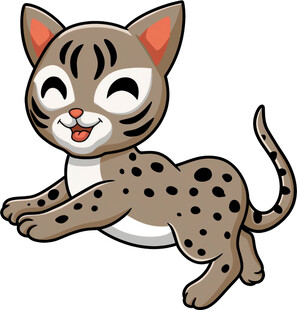 跳跃的斑点小猫