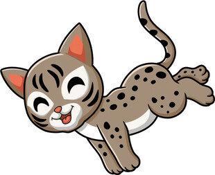 跳跃的斑点小猫