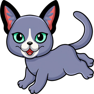 可爱奔跑小猫咪