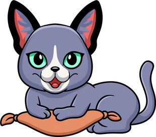 可爱猫咪趴在橙色垫子上