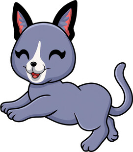 跳跃的可爱灰猫