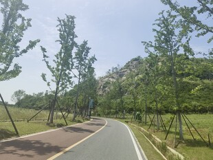 山间小道