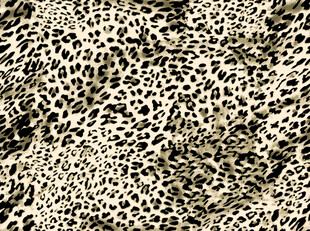 豹纹纹理图案