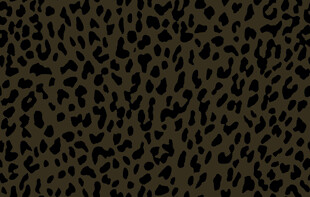 豹纹图案纹理背景