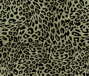 豹纹图案纹理背景图