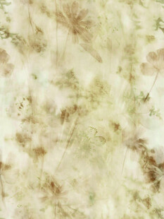 淡雅植物纹理背景图