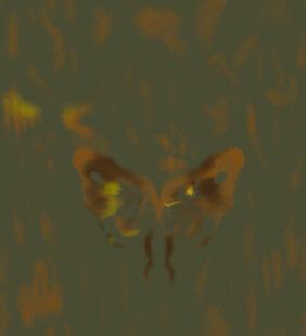 飞舞的斑斓蝴蝶