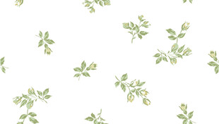 清新绿叶植物图案背景