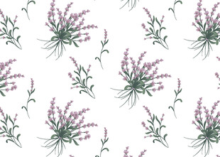 手绘薰衣草花卉无缝图案