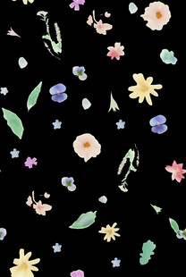 黑色背景多彩花卉图案
