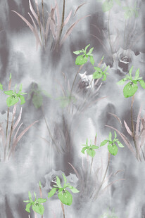 雾中绿植自然清新景象