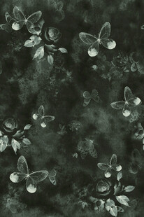 黑色背景上的蝴蝶花卉图案