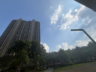 城市高楼与蓝天绿树景观