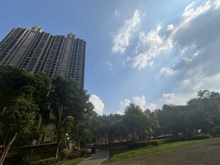 城市高楼与蓝天绿树景观