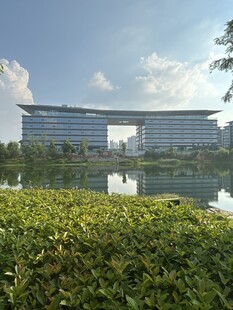 现代建筑与绿植景观