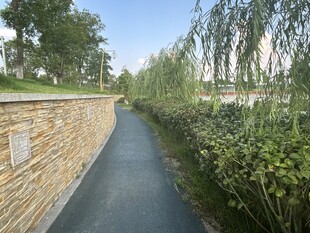 石墙边的清幽林荫小道