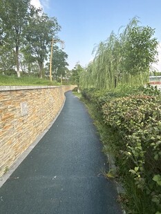 宁静小路旁绿植与砖墙相伴