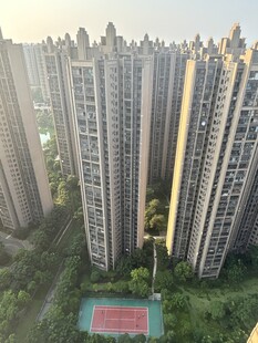 城市高楼间的绿色与球场