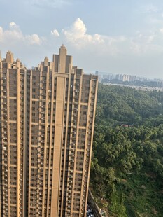 高层住宅俯瞰绿树景观