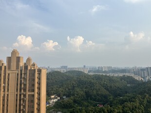 城市高楼与远处景观