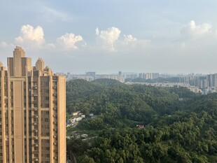 高层俯瞰城市与绿意景观