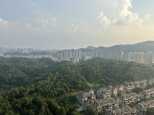 城市山林景观俯瞰图