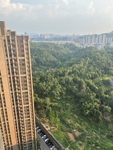 高楼俯瞰绿意盎然景观