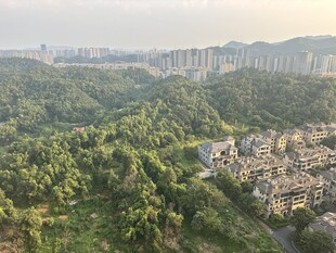 山林间的城镇风光