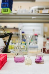 实验室中的多彩化学实验