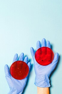 戴手套手持红色圆形物体