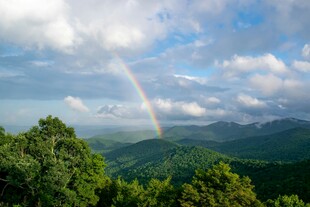 山间彩虹横跨葱郁林海