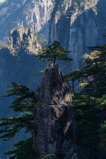 黄山风景