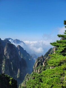 壮丽山景与葱郁林木