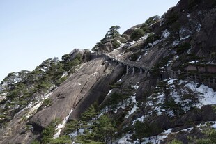 陡峭山壁上的树木与积雪