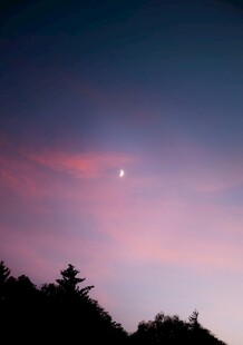 夜幕下的月与山林美景