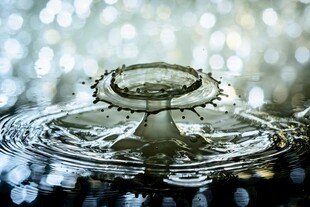 水滴落入水中泛起涟漪
