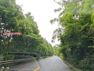 林间公路