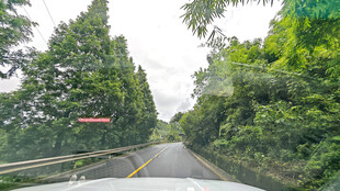 林间公路